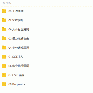 Web网络安全全面系统深度剖析视频教程/教程大小：4.3G