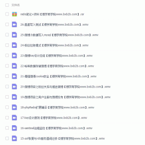 燕十八老师Redis数据库从入门到精通视频教程 Redis培训视频 带全套资料/大小：1.73G