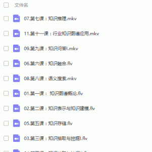 人工智能知识图谱从基础理论到项目案例实战视频教程/大小：2.47G