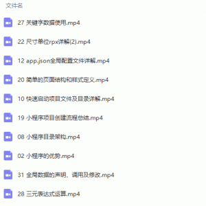 微信小程序开发视频教程/大小：575M