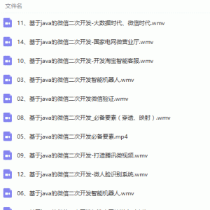 基于Java的微信公众号二次开发视频教程/大小：6.34G