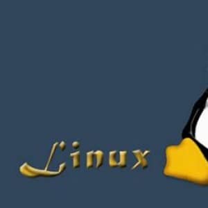 价值500元的轩辕IT培训 Linux C++ 远程全科班 Boost_ACE[价值500元] 下载/大小：17G