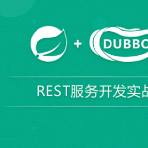 spring与dubbo分布式REST服务开发实战视频教程/大小：7.82G