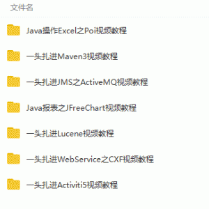 Java一头扎进项目实战系列课程视频教程/大小：3.63G