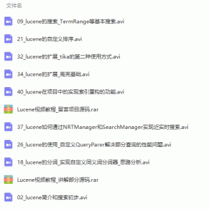 Lucene全文检索引擎架构零基础入门到实战视频教程/大小：2.19G
