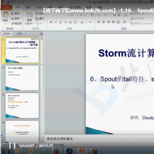 Apache Strom+Zookeeper集群技术实战 Strom理论实战没结合视频教程 大数据的支点/大小：1.26G