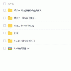 bootstrap响应式网页制作综合实战项目视频教程/大小：13.5G