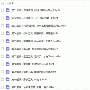 大神教你零基础学PS，30堂课从入门到精通下载/大小：4.2G