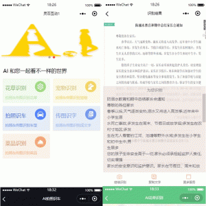 灵石AI识别大全 V2.10 小程序前端+后端 微擎小程序