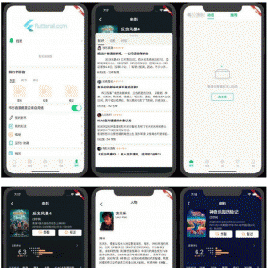 lutter豆瓣客户端源码 Awesome Flutter Project