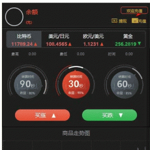全新界面微交易系统 微盘时间盘风控版源码