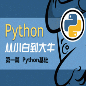 Python基础班13天入门课程