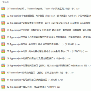 TypeScript极速完全进阶开发指南视频教程
