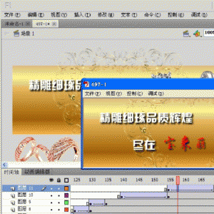 Flash CS5完全自学视频教程共500集