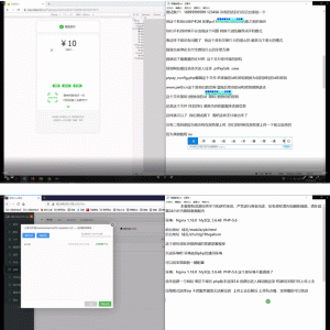 【视频教程】晨起打卡奖励步数积分金融投资定投理财区块链搭建视频教程+支付对接