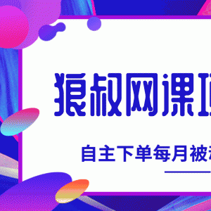 狼叔网课项目最新教程_教你打造自主下单系统，每月被动收入3W+