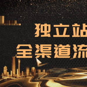 2020跨境电商最新运营教程_手把手教你分析运营独立站精细化流量