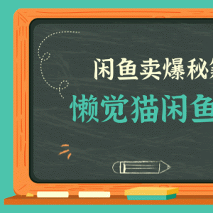 懒觉猫闲鱼最新教程_闲鱼初高级课程卖爆秘籍，让你月收入2W+（完结）