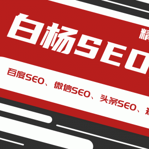 最新白杨SEO精准引流实战教程 百度微信头条短视频SEO