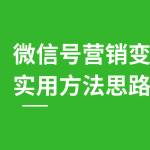 微信号朋友圈刷屏裂变最新营销变现教程 实用方法思路（共12节）价值199元