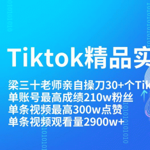 Tiktok最新精品实操教程 单账Tiktok账号210w粉丝和单视频300w点