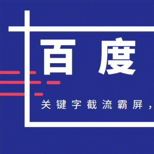 最新2020百度霸屏快排教程_关键字截流霸屏,实现超级爆炸性引流