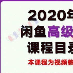 懒觉猫闲鱼初级课程+高级课程：教你60秒选出日赚300元闲鱼爆款产品