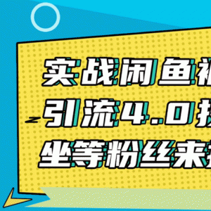 实战闲鱼被动引流4.0技术，坐等粉丝来找你，实操演示日加200+精准粉