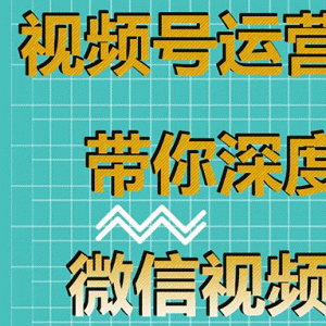 视频号运营实战课，带你深度入手微信视频号4.0，零基础手把手实操操作