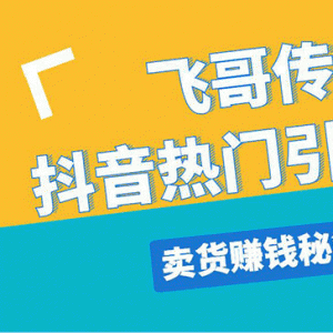 飞哥传书抖音热门引流变现 直播上热门 引流卖货秘籍，一天赚5224元