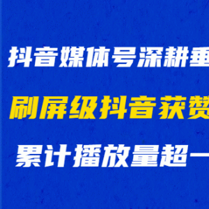 抖音媒体号深耕垂类内容，刷屏级抖音获赞900w+累计播放量超一亿(视频+文档)