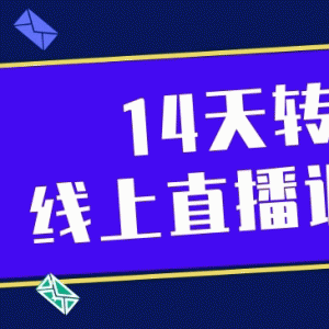 14天转型线上直播训练营