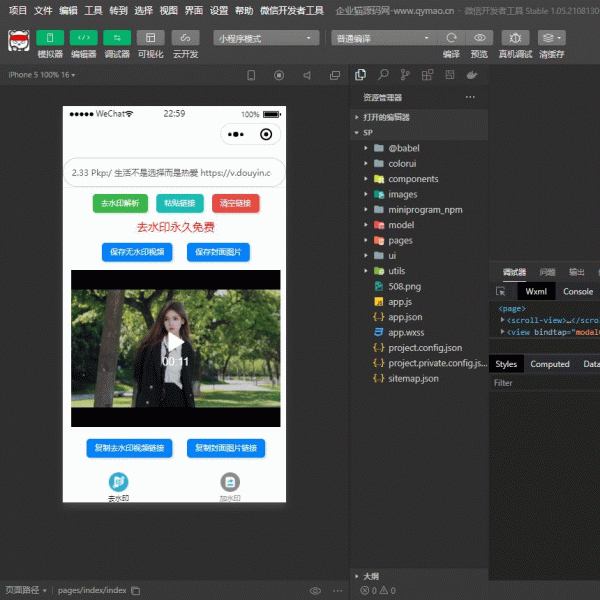 短视频去水印和图片加水印生成微信小程序源码
