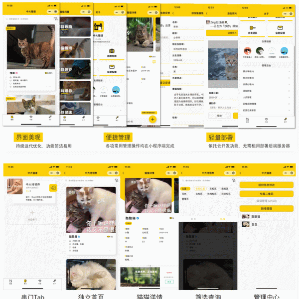 校园流浪猫信息记录和分享的小程序源码
