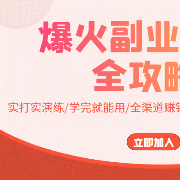 爆火副业赚钱全攻略：实打实演练/学完就能用/全渠道赚钱，带普通人月入３万元