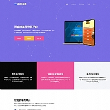 译成引导页系统商业版 v1.0