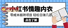 【搬砖项目】小红书0成本情趣内衣搬砖项目，轻松日赚几百+