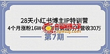 28天小红书博主IP特训营《第6+7期》：4个月涨粉16W+教你日销过万月营收30万