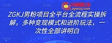 ZGKJ男粉项目全平台全流程实操拆解，多种变现模式和进阶玩法，一次性全部讲明白