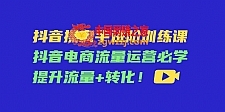 抖音操盘手进阶训练课：抖音电商流量运营必学，提升流量+转化