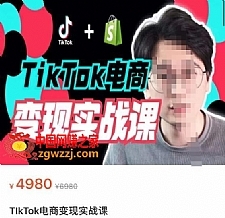 TikTok电商学长Ethan·TikTok电商变现实战课，TikTok运营+Shopify独立站运营+TikTok广告投放