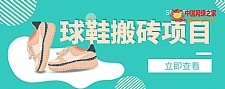 【搬砖必备】外面收费998的球鞋搬砖项目，月入轻松5000+的项目案例解析
