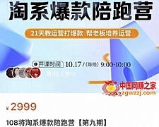 108将淘系爆款陪跑营【第九期】，从淘宝0开始，手把手教你链接起飞，爆款不断