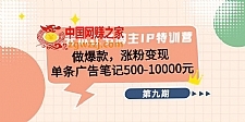 28天小红书博主IP特训营《第9期》做爆款，涨粉变现 单条广告笔记500-10000