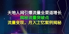 天地人网引爆流量全渠道增长：揭秘流量突然破点，流量变现，月入上亿案例