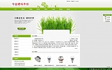 网展中英企业网站系统 绿色风格 v11.0