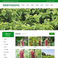 腾和苗木网站管理系统 v1.12