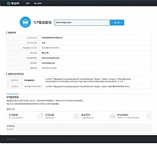 ICP备案查询系统 v1.1