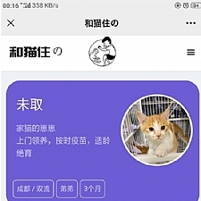 流浪猫流浪狗发布H5源码下载 带演示
